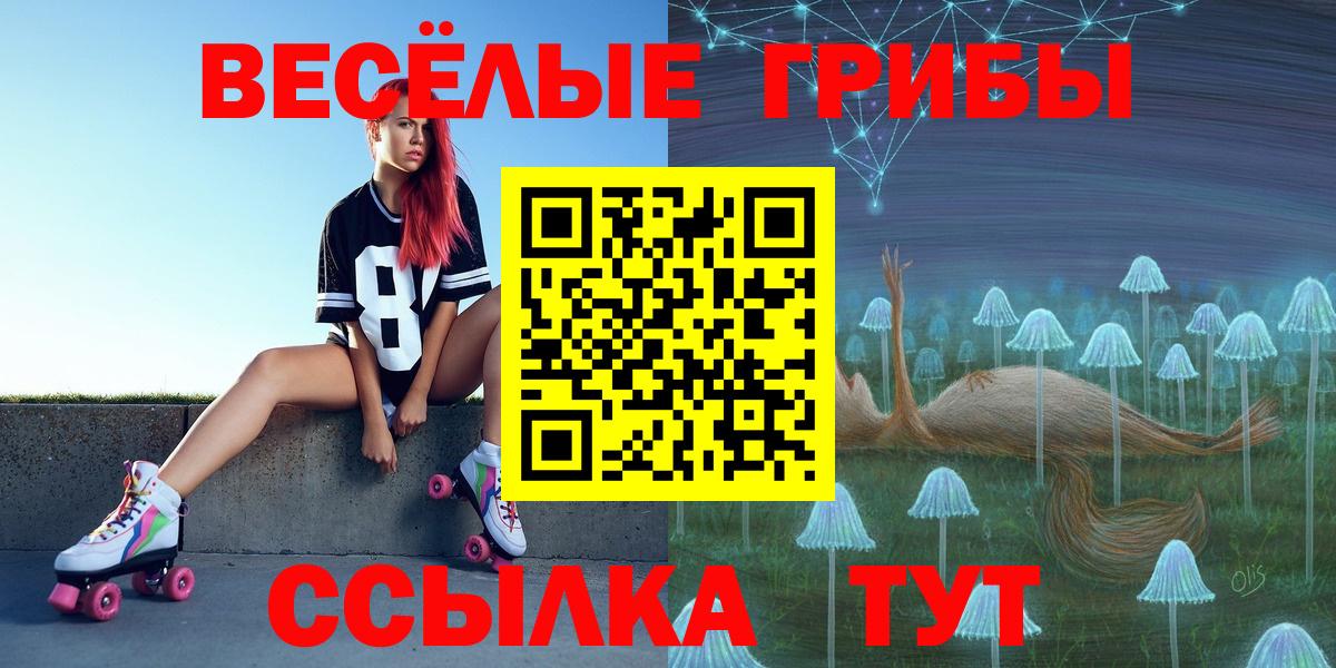 Псилоцибиновые грибы мицелий  Вход с VPN  Сунжа 